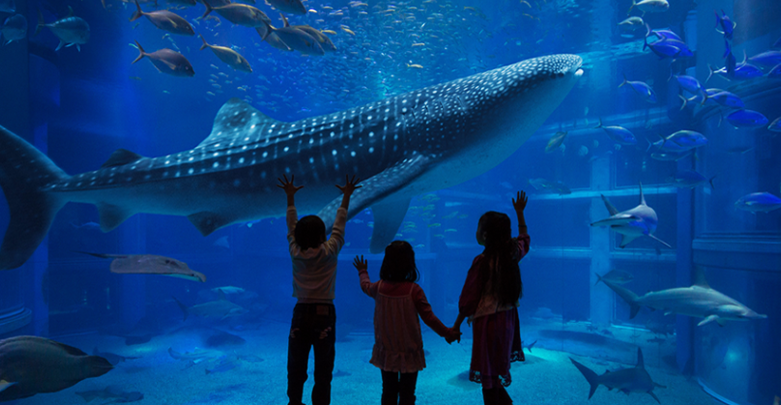 Aquarium Kaiyukan Osaka